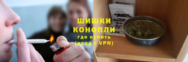 МДПВ Всеволожск