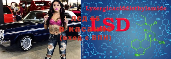 ПСИЛОЦИБИНОВЫЕ ГРИБЫ Долгопрудный