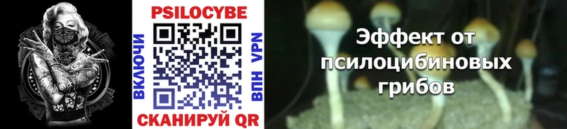 Галлюциногенные грибы Psilocybine cubensis  где продают   Вихоревка 